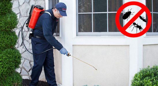 Esenler Böcek ve Haşere İlaçlama böcek ilaçlama ve haşere kontrolü — ilaclama-tr.com